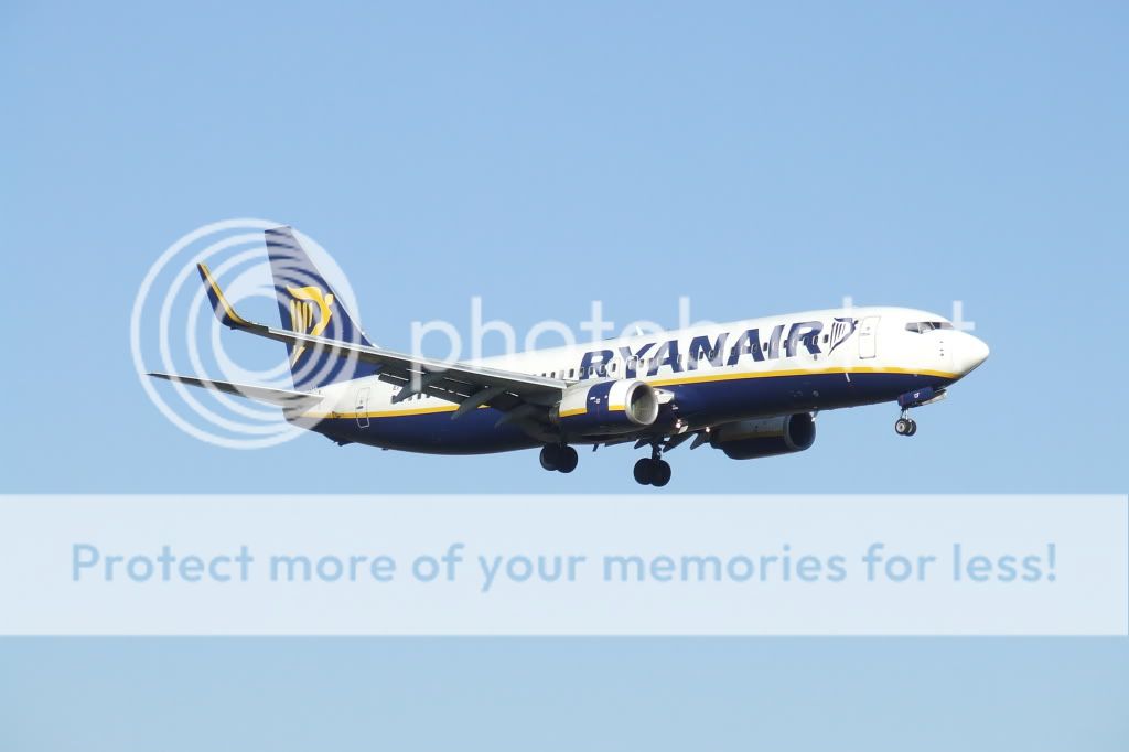 DSCF6611.jpg