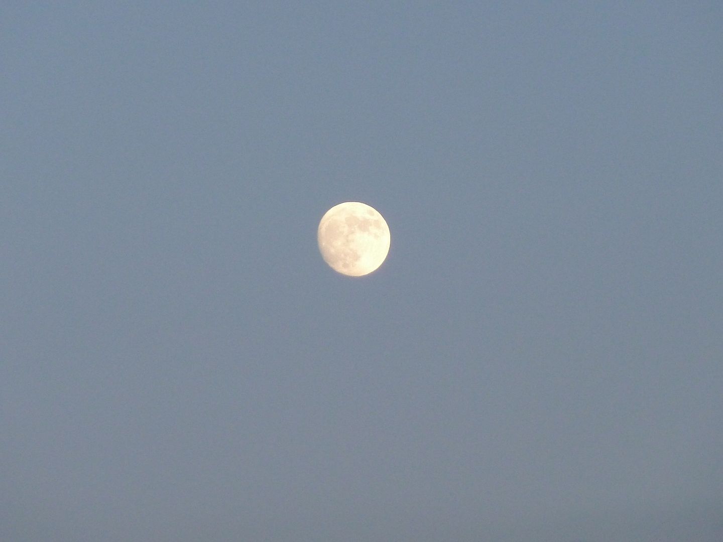 P1020584.jpg