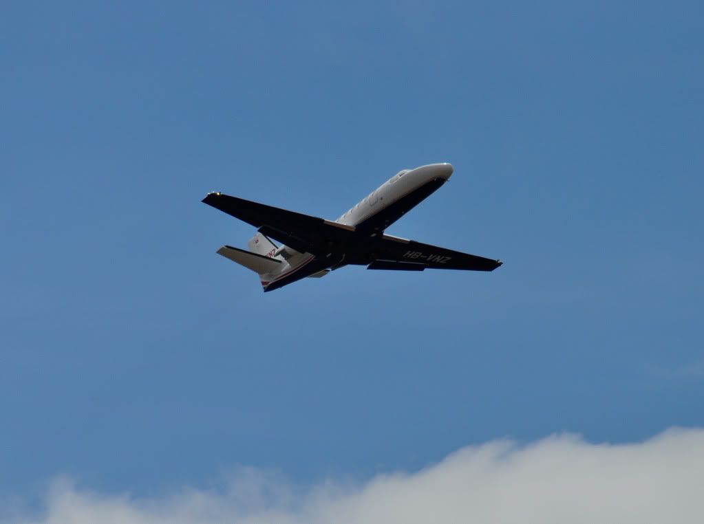 DSC_1466.jpg