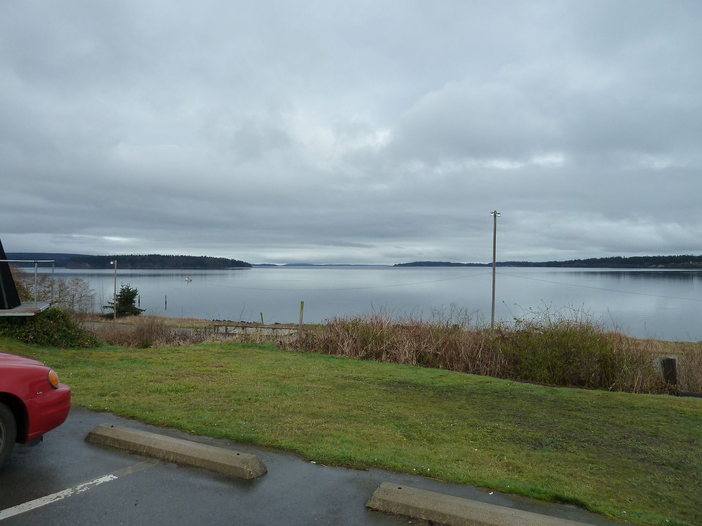 P1020216.jpg
