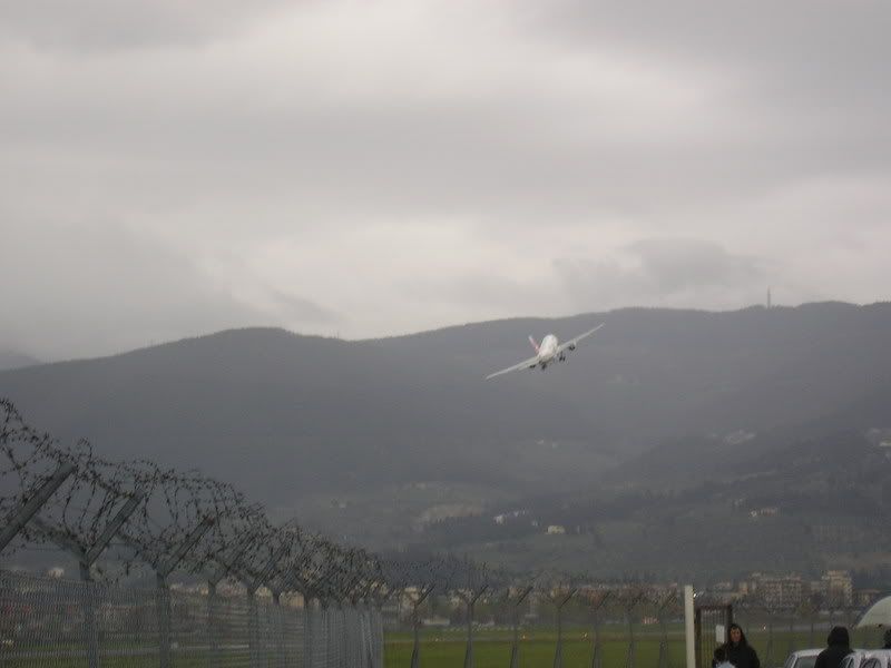 P1010003.jpg