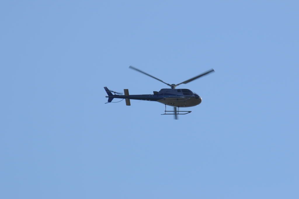 DSC_0580.jpg