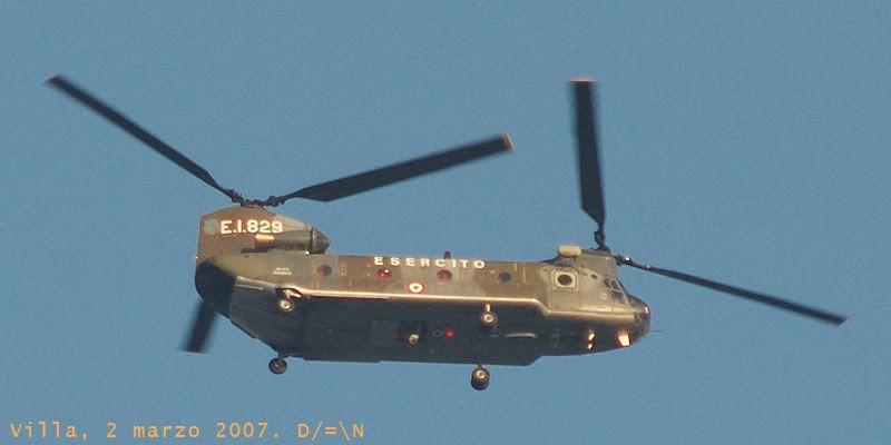 EI829.jpg