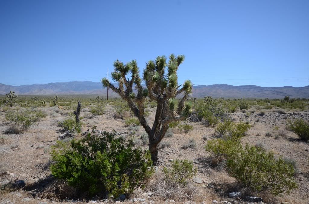 DSC_0945.jpg