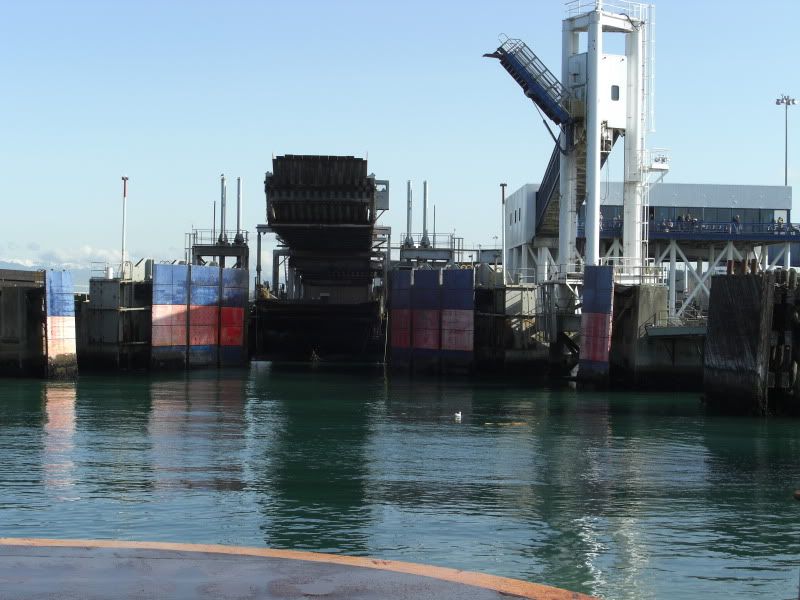 CIMG7937.jpg