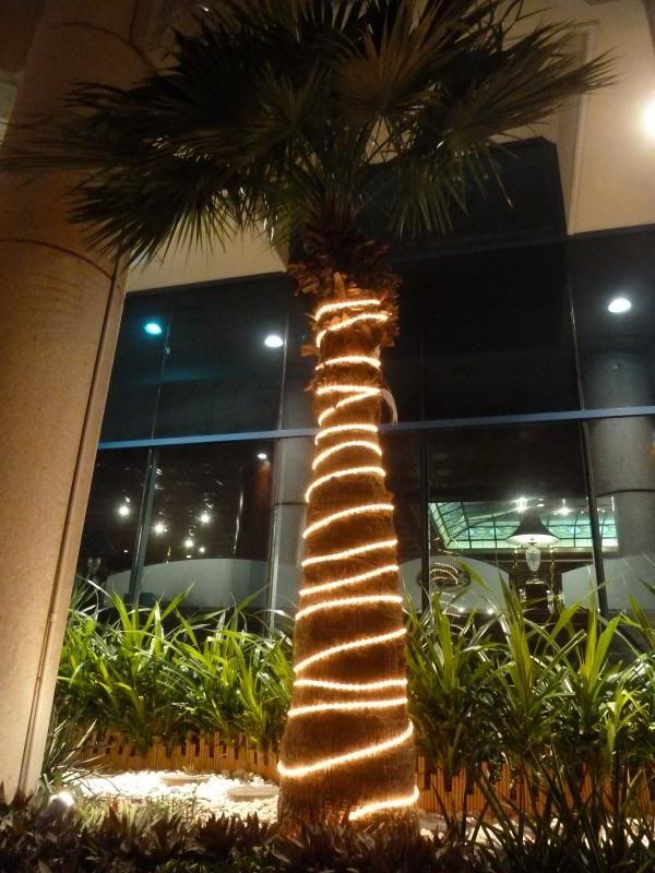 P1210354_zps0e006bd5.jpg
