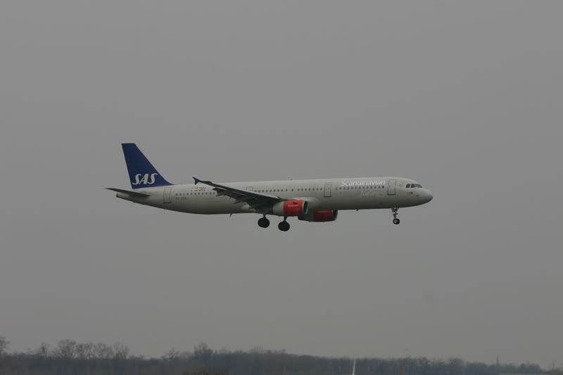 IMG_3964au.jpg