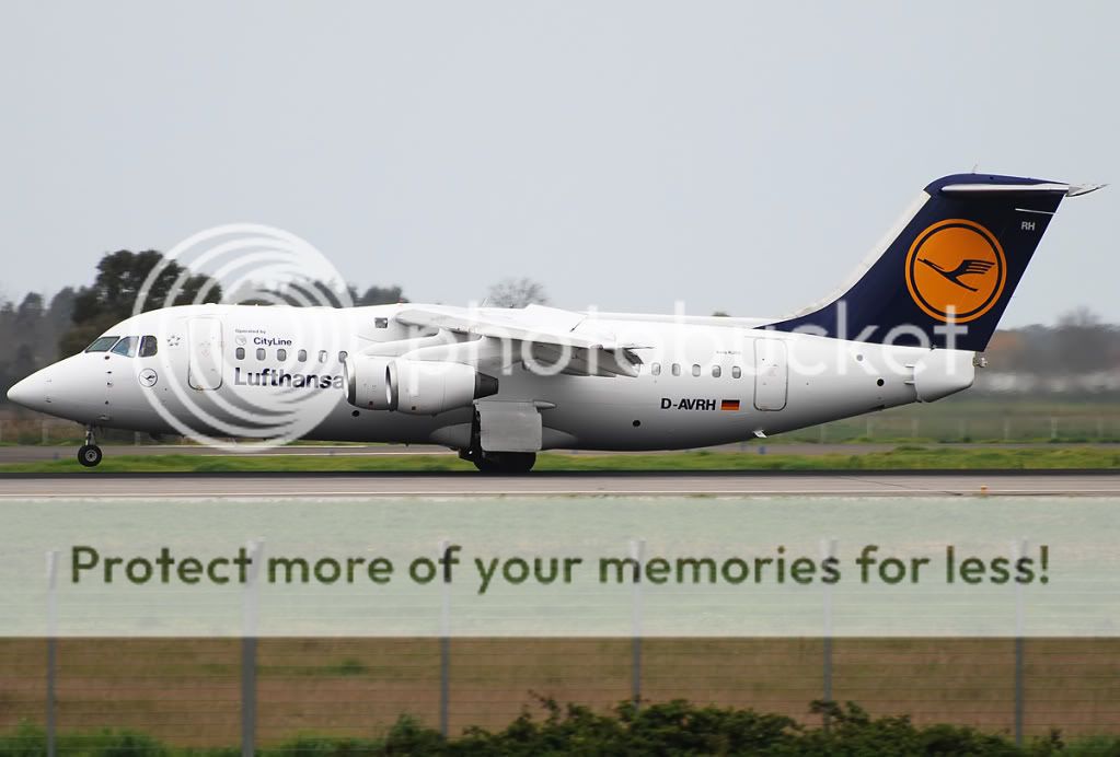 D-AVRH.jpg