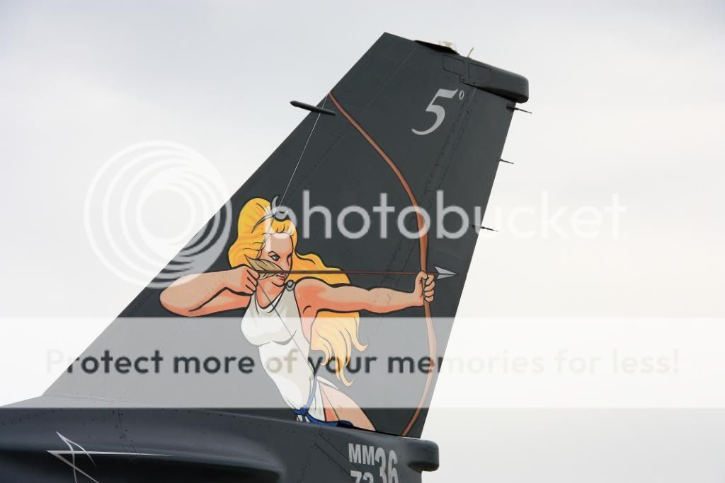 IMG_3822900.jpg
