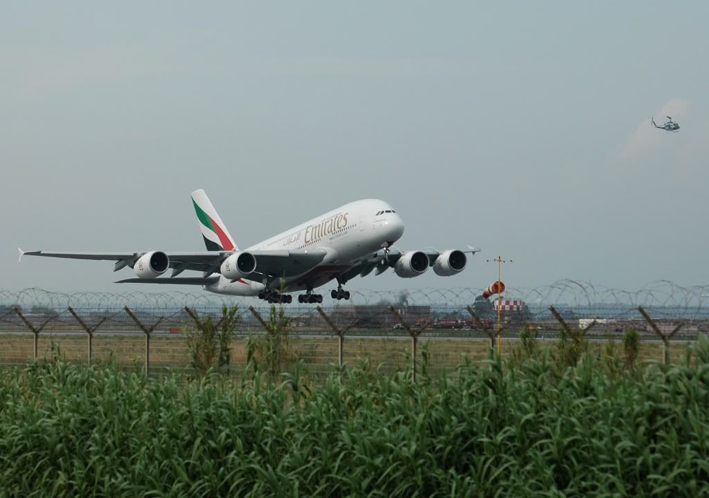 DSC_00540001.jpg