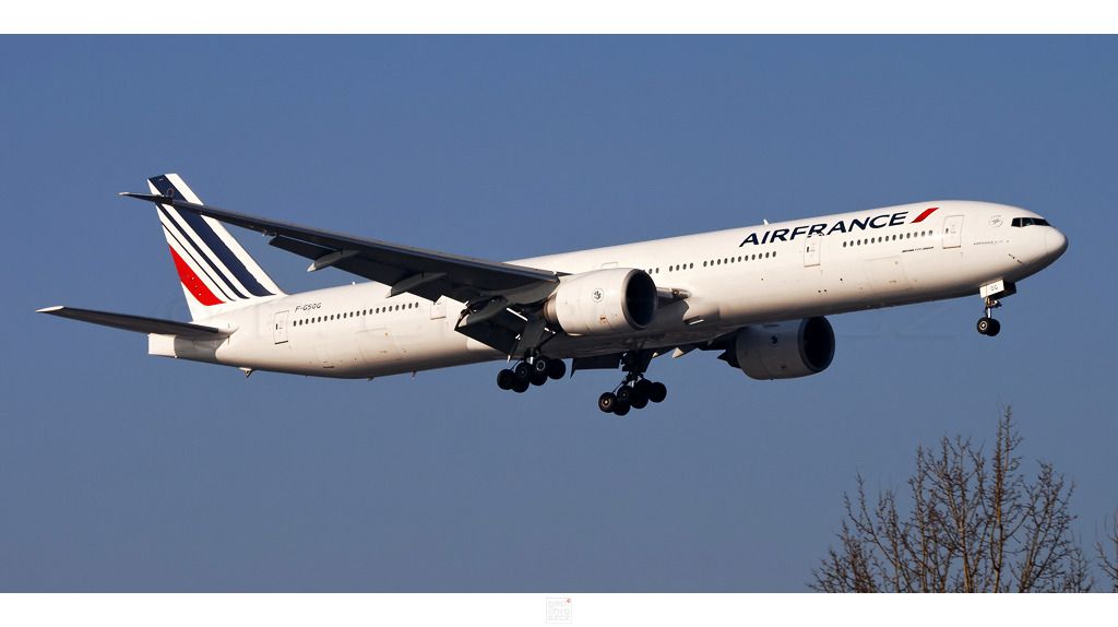 AF773_0.jpg