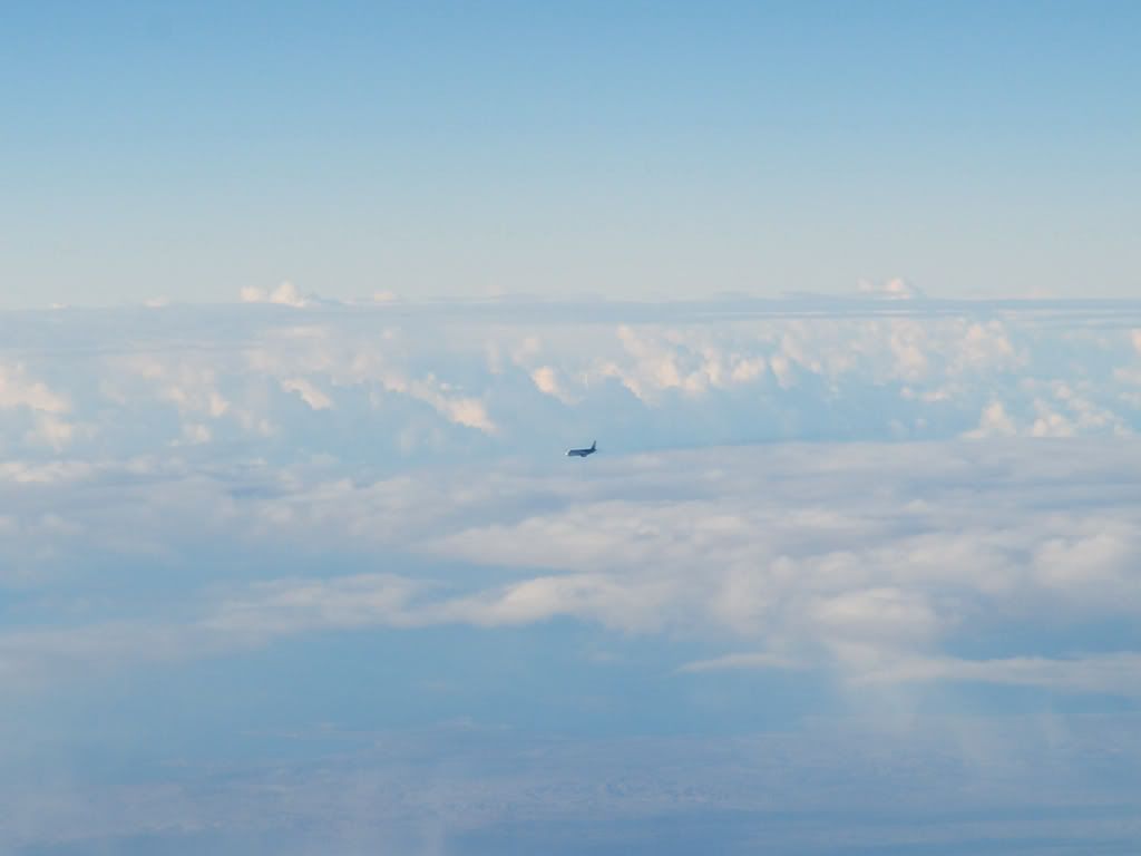 DSC_1556.jpg