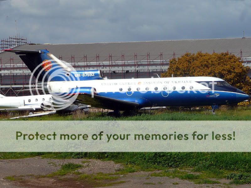 yak40.jpg