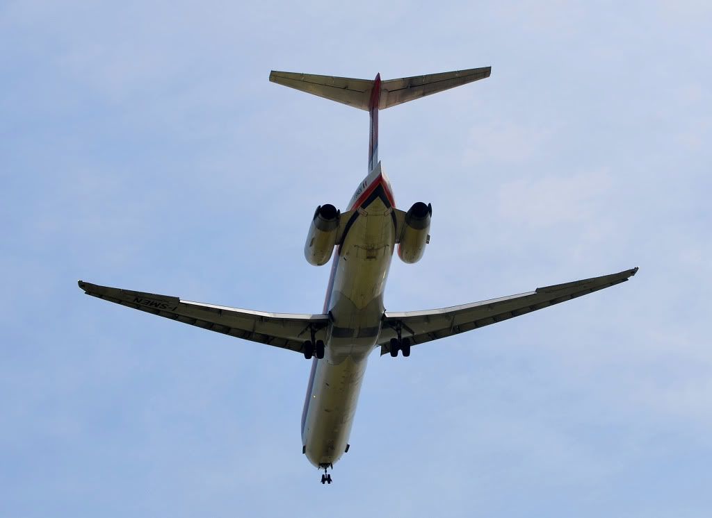 DSC_4294.jpg