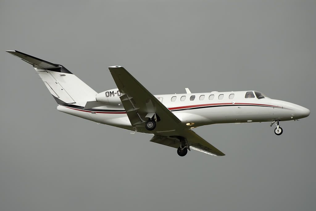 DSC_7950.jpg