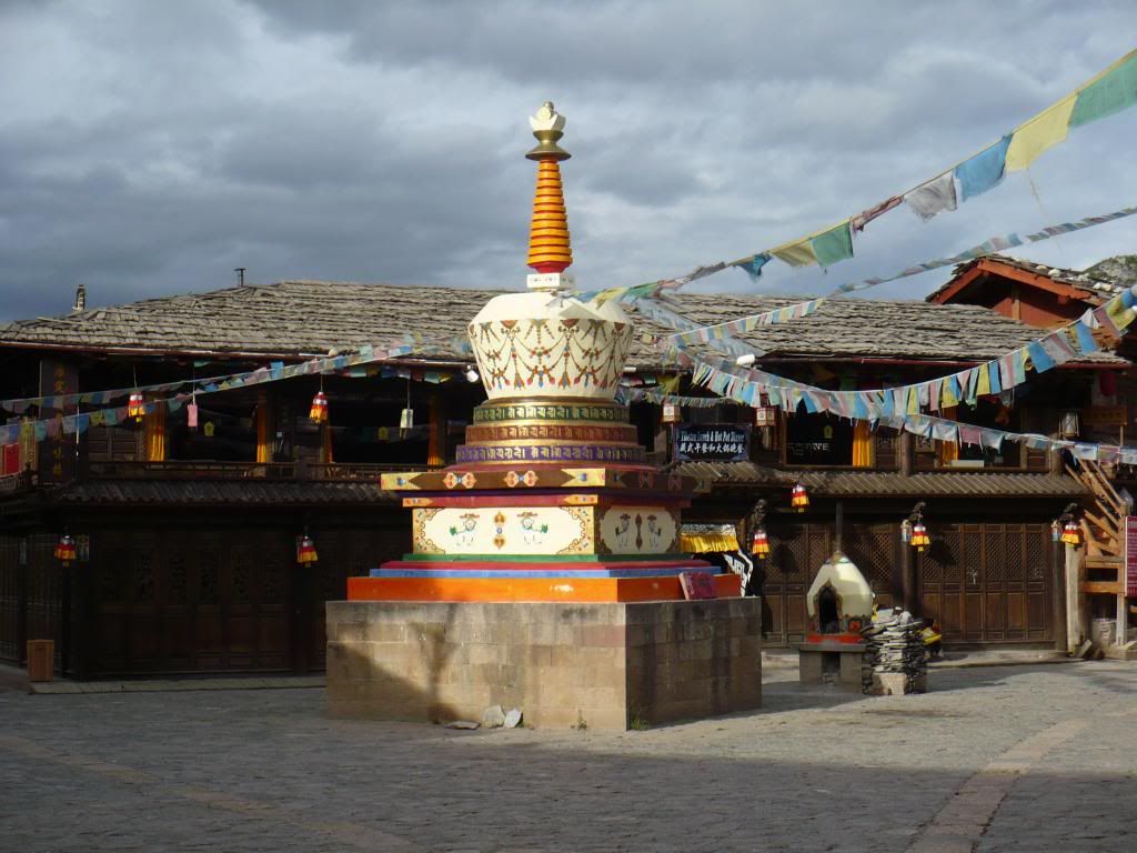 P1010339.jpg