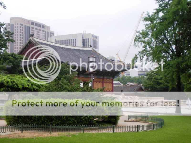 DSCN2716.jpg