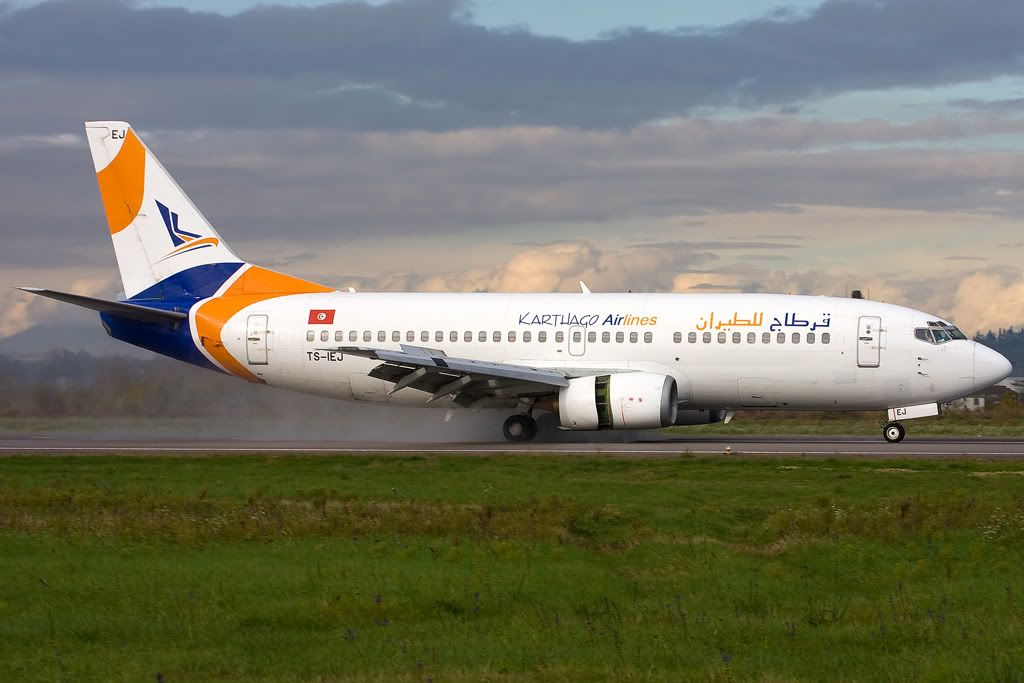 TS-IEJa.jpg