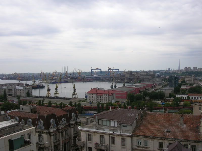 DSCN6719.jpg