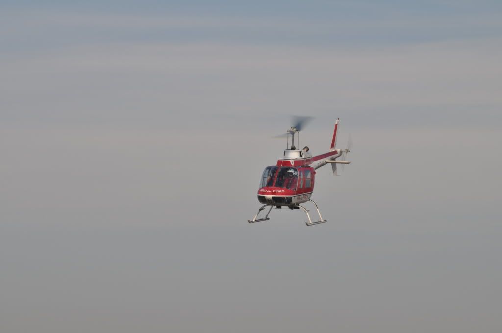 DSC_0066.jpg