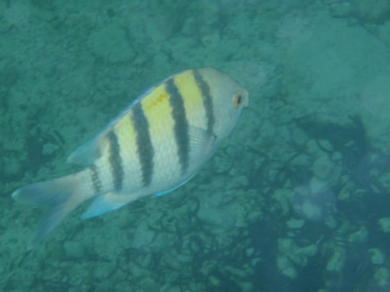 P4130480.jpg