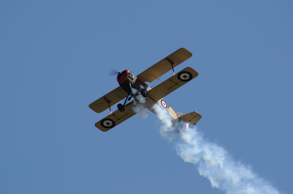 DSC_0263.jpg