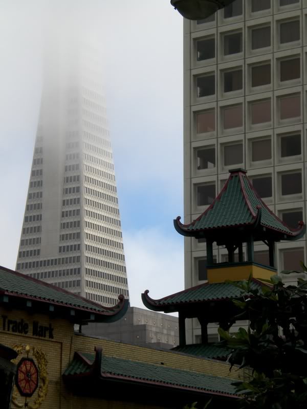 CIMG0673.jpg