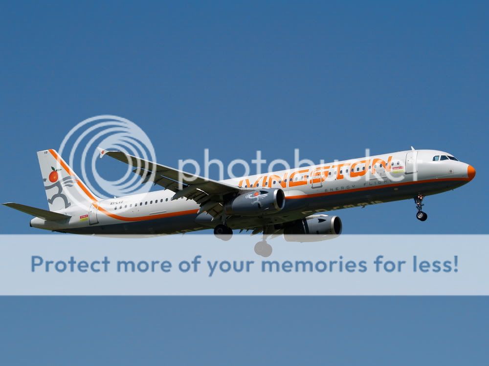 AM018828.jpg