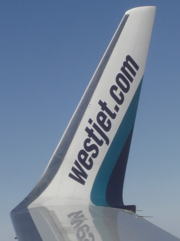 CIMG8548.jpg