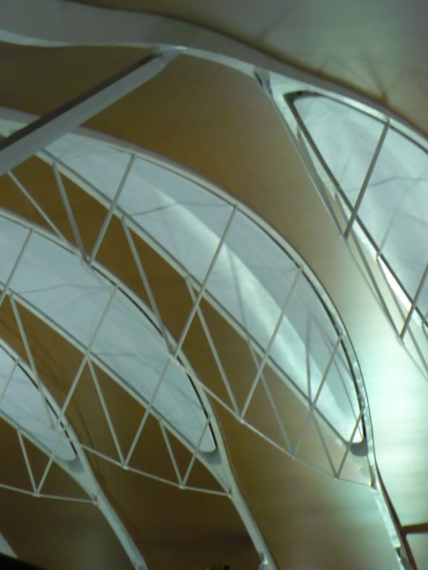 P1020107.jpg