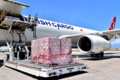www.trasporti-italia.com