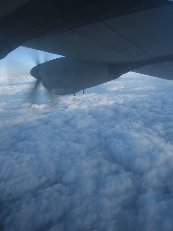 c27008.jpg