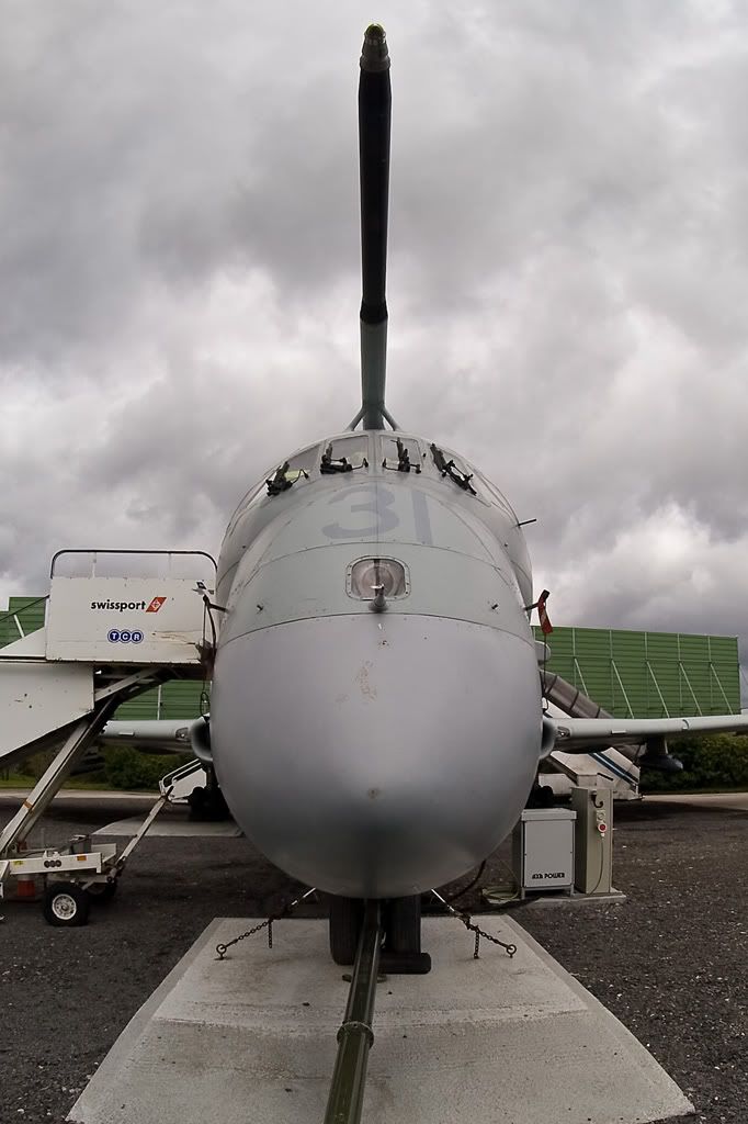 nimrod.jpg