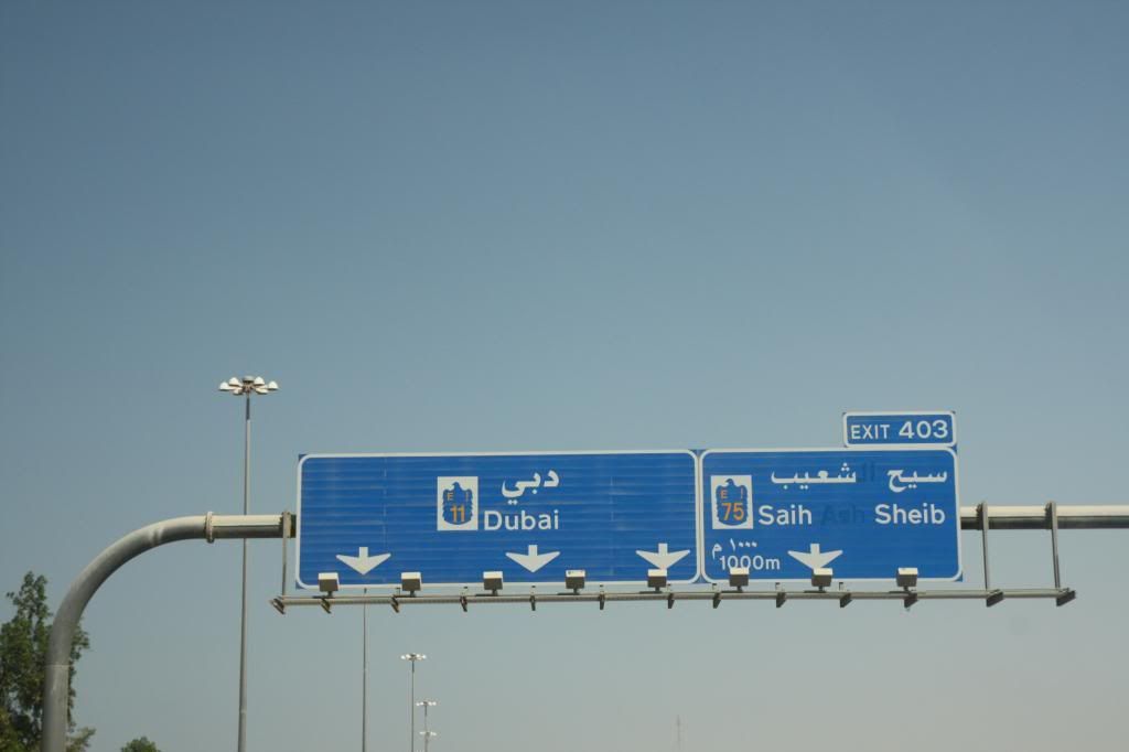 IMG_5482.jpg