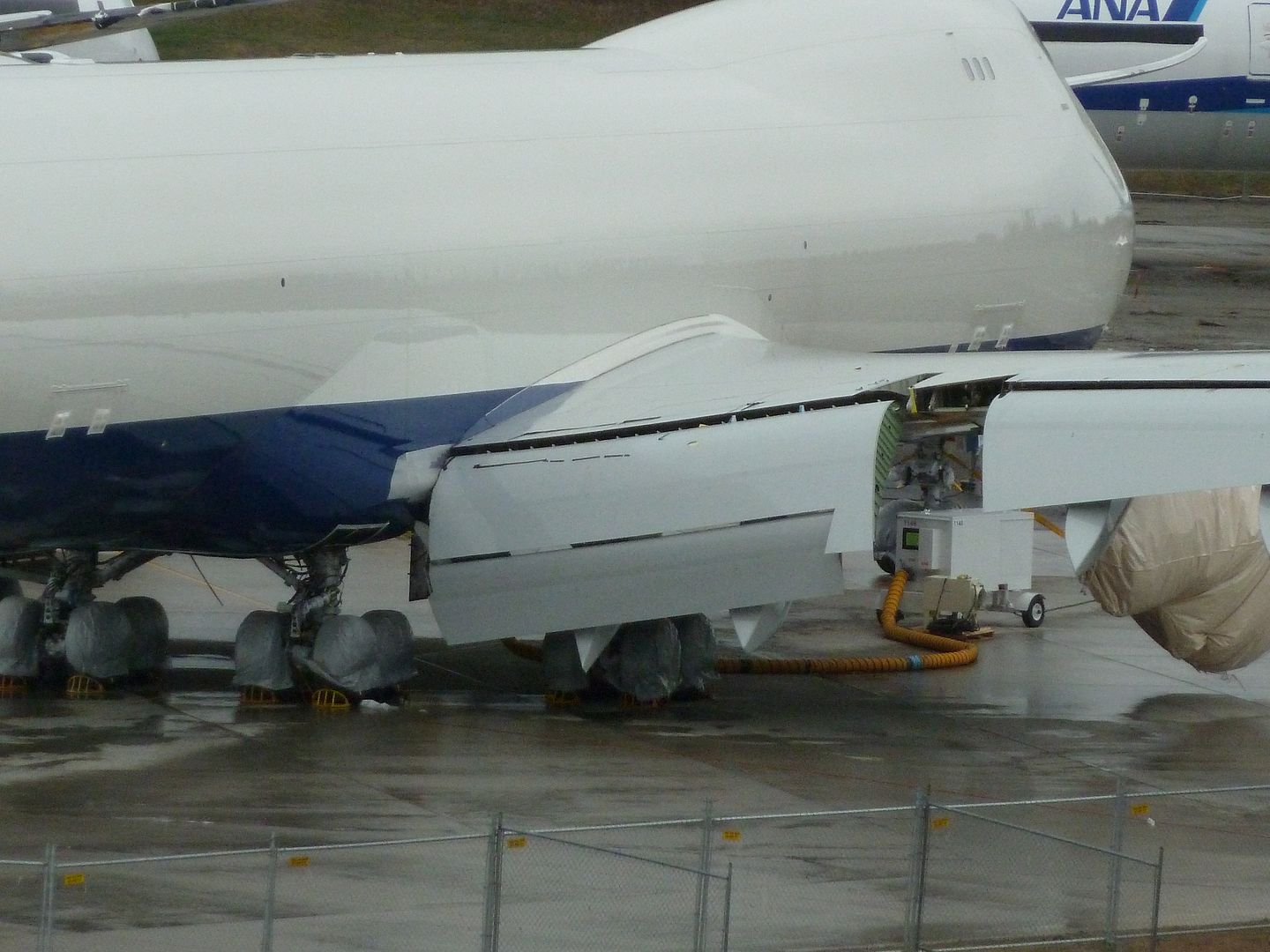 P1020192.jpg
