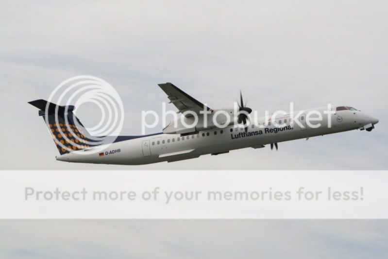 dash-1.jpg