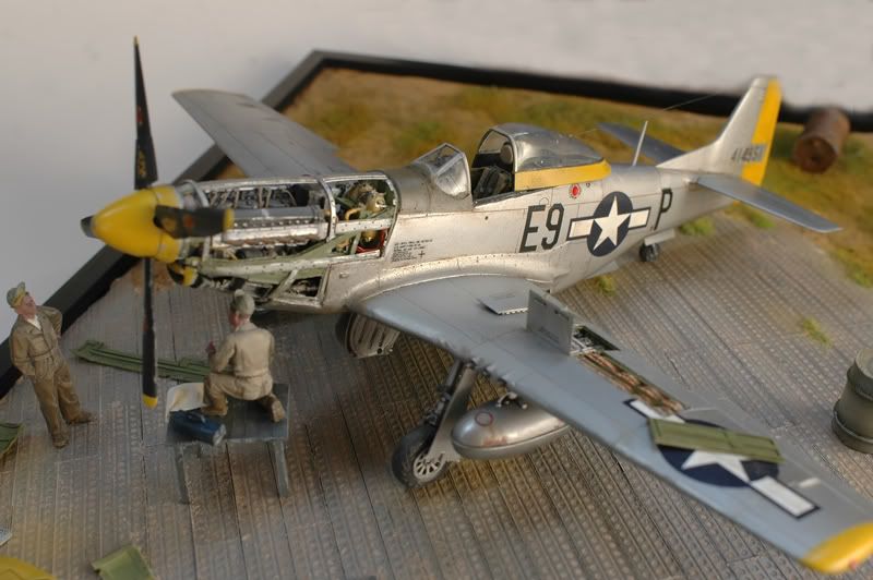 DSC_5802.jpg