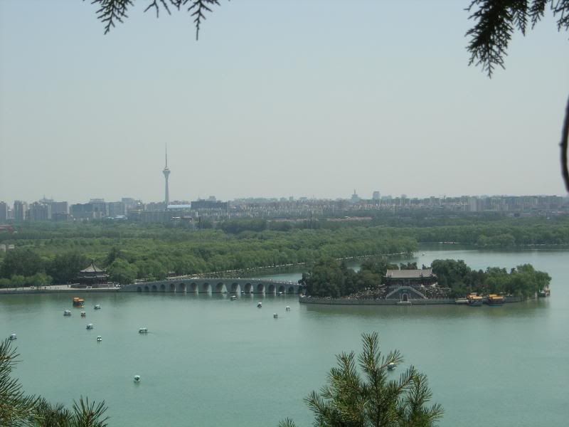 DSCN2433.jpg