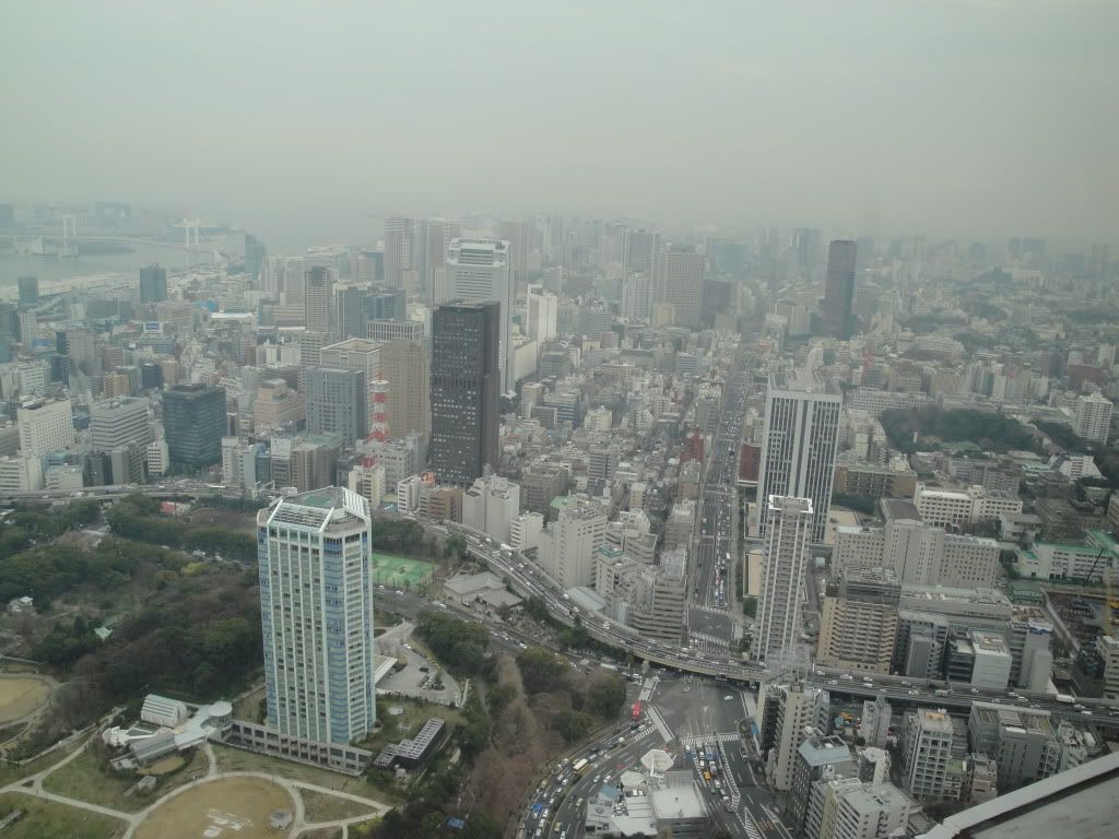 DSC01781.jpg