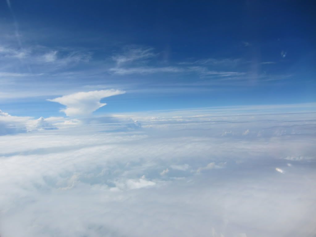 IMG_1211.jpg