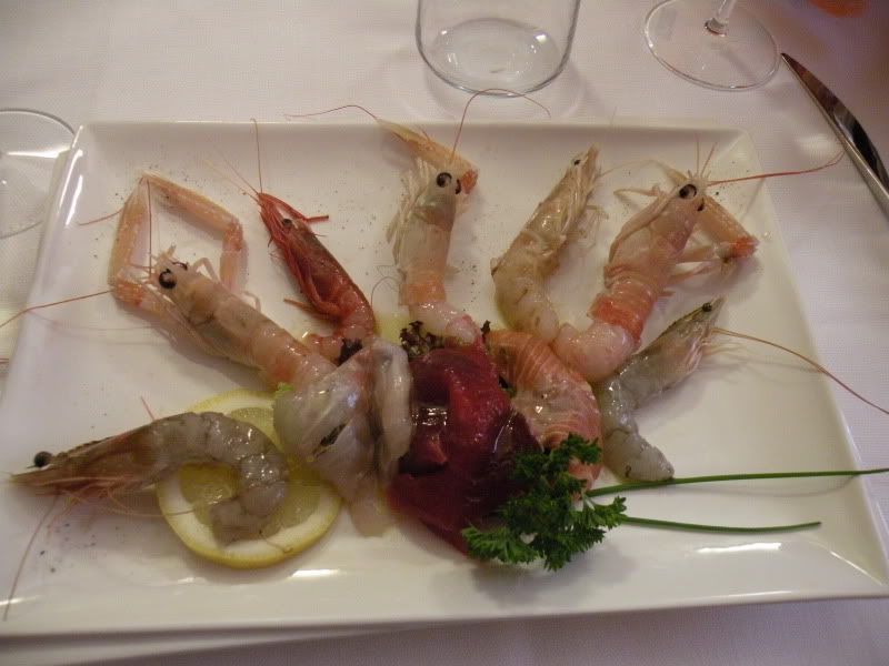 DSCN8798.jpg