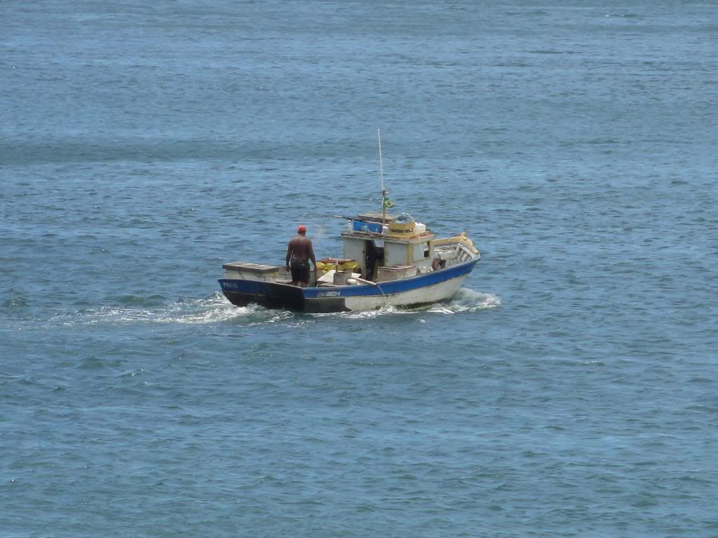 DSC00447.jpg