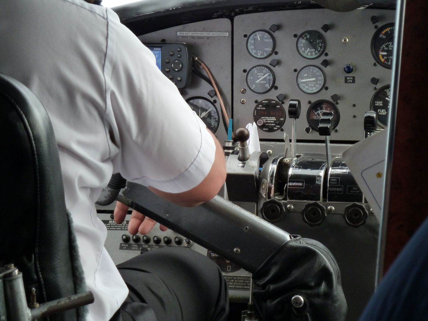 P1010394.jpg