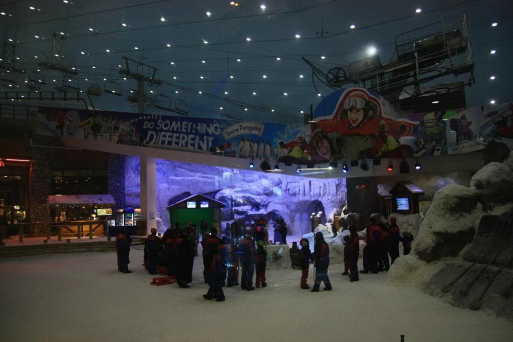 IMG_5513.jpg