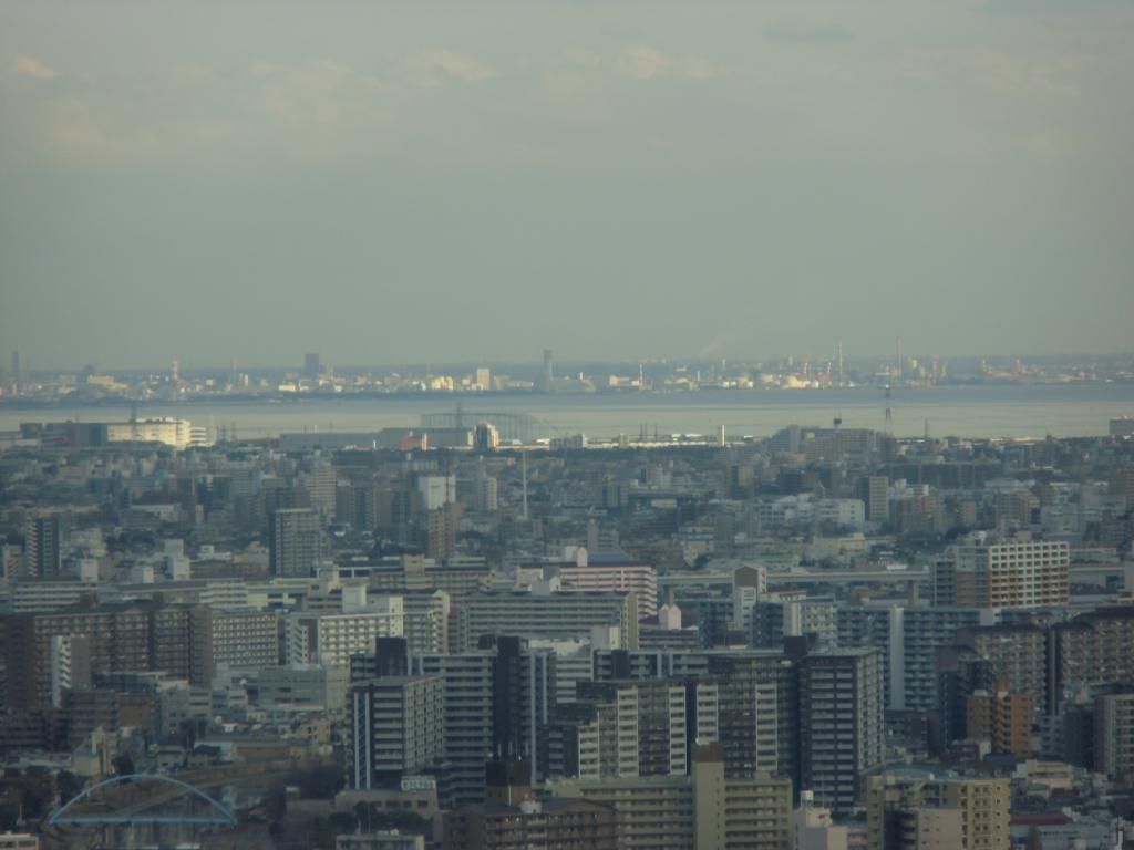CIMG1063_zpsaf8985f8.jpg
