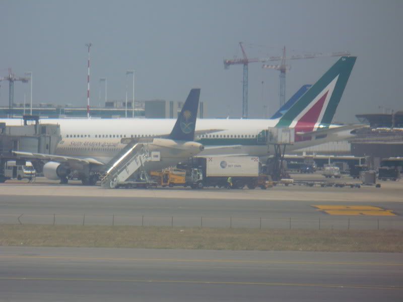 P1020188.jpg