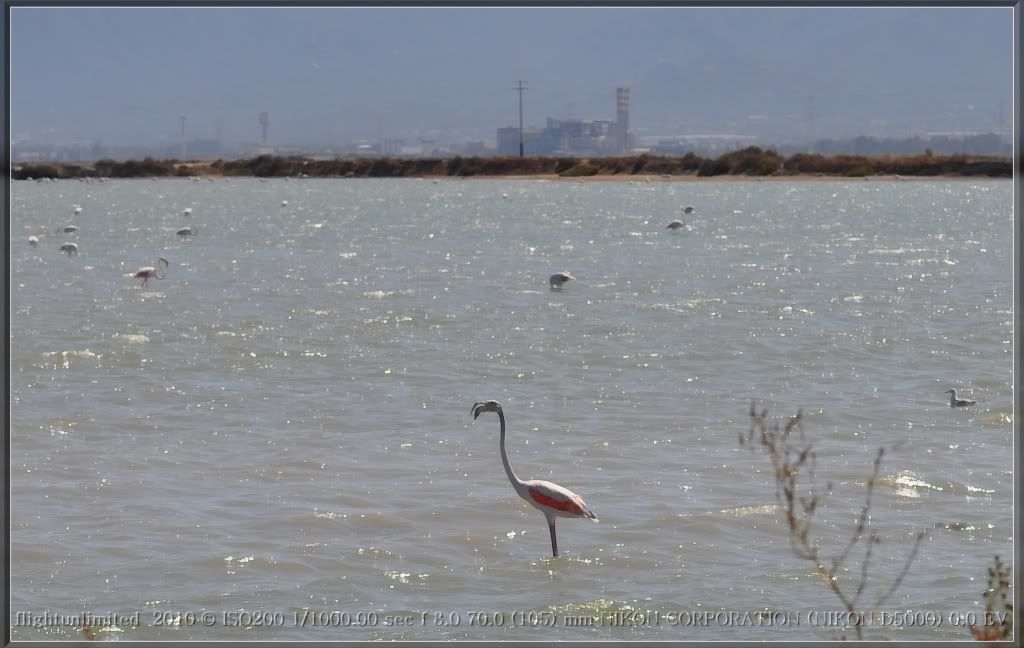 DSC_0160_hf.jpg