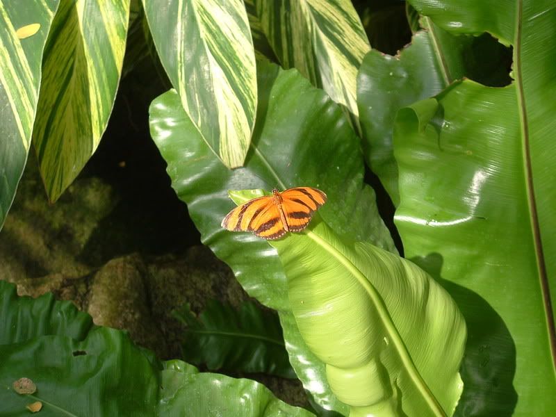 DSCF0640.jpg