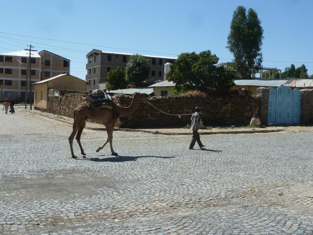 P1190560-Copy.jpg