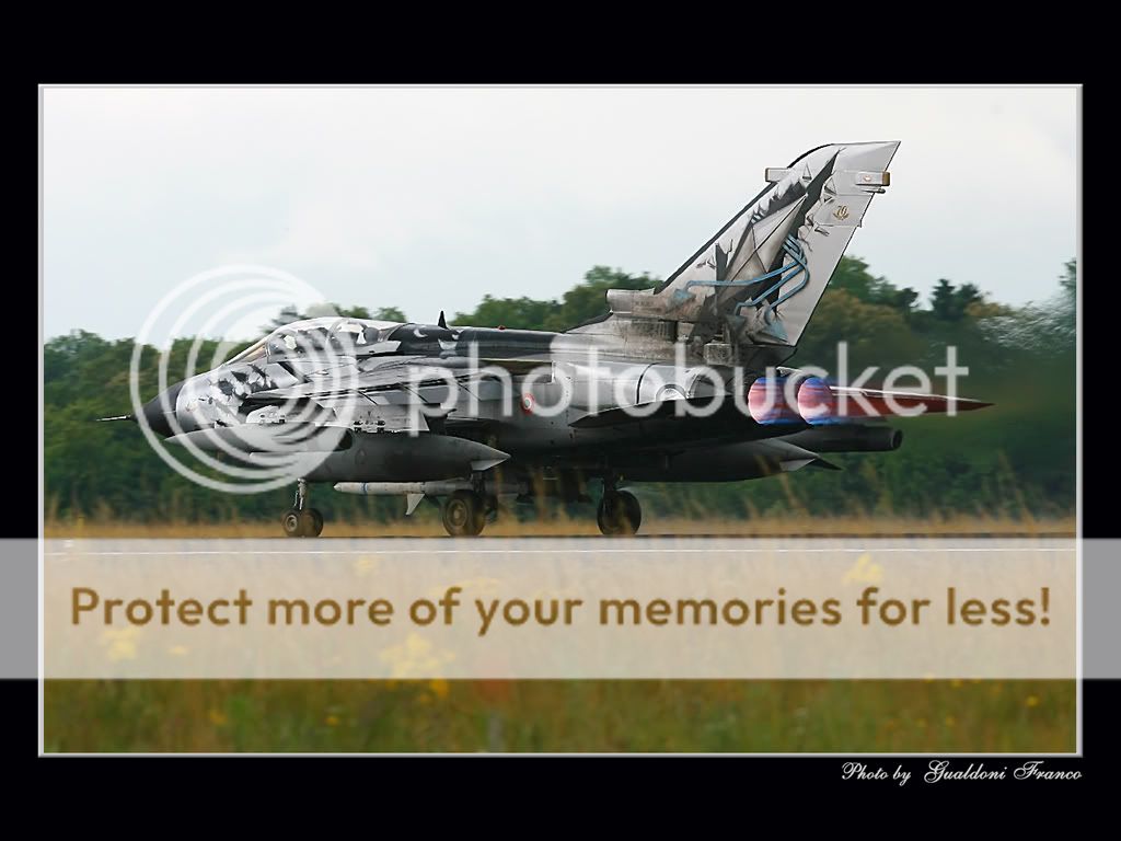 ELITE-07.jpg